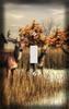 Autumn Deer Switchplate - Switch Plate Cover view 1